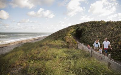 Musselburgh Trail: Exploring East Lothian’s Scenic Pathways