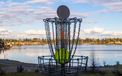 Reboot Disc Golf: A Guide to Refreshing Your Game