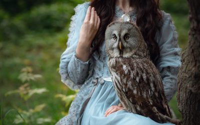 The Scottish Owl Centre: A Fascinating Destination for Bird Lovers